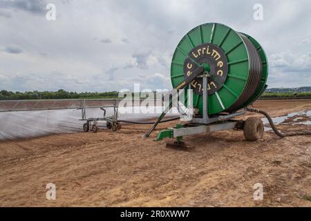 Zhukovskiy, provincia di Mosca - 20 giugno 2022: Sistema di irrigazione Irrimec irrigazione terreni agricoli. Foto Stock