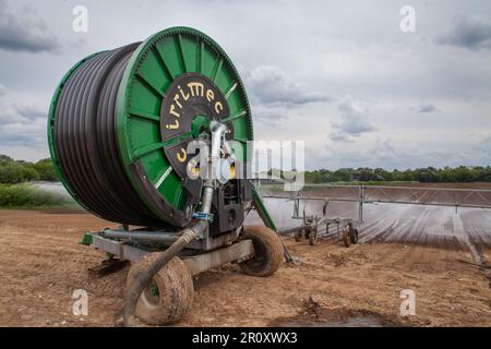 Zhukovskiy, provincia di Mosca - 20 giugno 2022: Sistema di irrigazione Irrimec su campo agricolo. Foto Stock