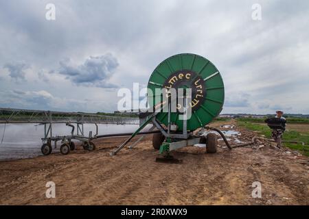 Zhukovskiy, provincia di Mosca - 20 giugno 2022: Sistema di irrigazione Irrimec sui campi agricoli. Donna contadina con scatola di basilico destra. Cielo grigio, nuvole Foto Stock