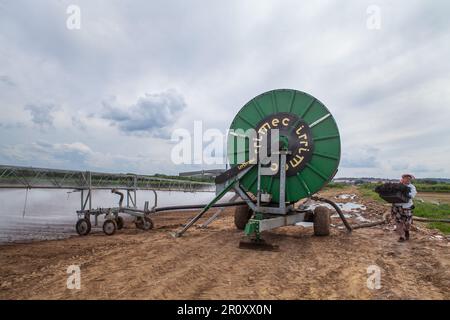 Zhukovskiy, provincia di Mosca - 20 giugno 2022: Sistema di irrigazione Irrimec su campi agricoli. Donna contadina con scatola di basilico destra. Cielo grigio, nuvole Foto Stock