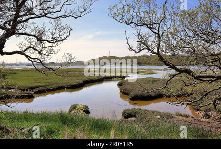 Beaulieu River nell'Hampshire guardando verso Bucklers Hard con barche a vela ancorate Foto Stock