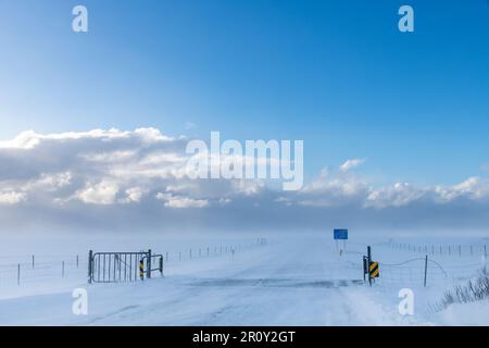 Vista sul paesaggio innevato e la strada coperta di neve con griglia del bestiame in Islanda con venti alti che soffiano la neve sulla strada e le nubi di neve in lontananza Foto Stock
