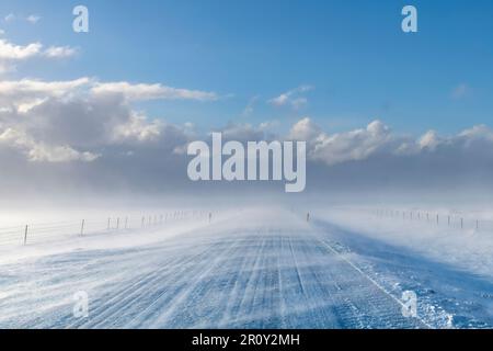 Vista sulla strada coperta di neve nel paesaggio agricolo in Islanda con alti venti che soffiano la neve sulla strada creando una sfocatura con le nubi di neve Foto Stock