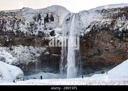 Vista della cascata Seljandsfoss con alcune persone nel sud dell'Islanda durante l'inverno, ricoperta di neve e gli strati spessi di ghiaccio dallo spruzzo Foto Stock