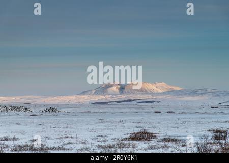 Ammira il paesaggio vulcanico piatto innevato dell'Islanda con le montagne innevate che sfiorano la luce del sole mattutina sullo sfondo di un cielo azzurro Foto Stock