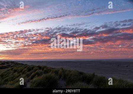 Vista panoramica del tramonto sulle dune dell'isola di Texel, nei Paesi Bassi, con lunghe fasce di nuvole color arancio in cielo con erba duna Foto Stock