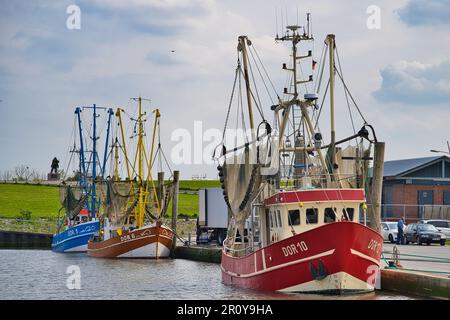 Krabbenfischer, Krabbenkutter, Schleppnetz, reti da traino, reti da traino, Nordsee, Mare del Nord, Fischfang, pesca, rete, Schiff, nave, granchio, granchio Foto Stock