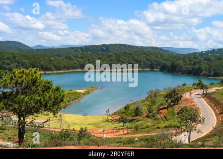 Campo di lavanda con cespugli freschi contro il lago e le montagne in Vietnam da Lat Foto Stock