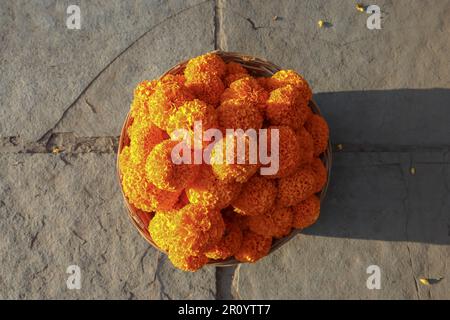 Fiori di arance marigold in cesto Foto Stock