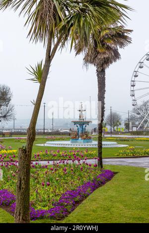 Fontana e ruota panoramica a Princess Gardens, Torquay, Devon. Foto Stock
