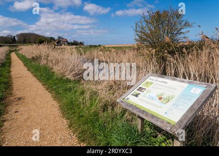 Una bacheca di informazioni interpretative accanto a un sentiero nella riserva naturale di Cley Marshes del Norfolk Wildlife Trust, sulla costa settentrionale del Norfolk. Foto Stock