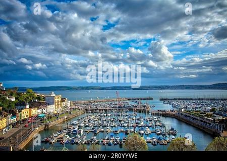 GB - DEVON: Porto di Torquay occupato con Tor Bay in background Foto Stock