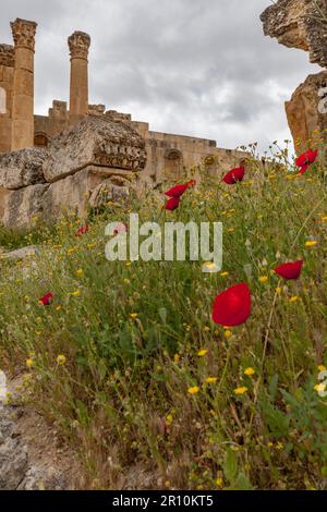 L'antica città romana di Jerash, una delle città romane più grandi e meglio conservate al di fuori dell'Italia, nel nord della Giordania Foto Stock