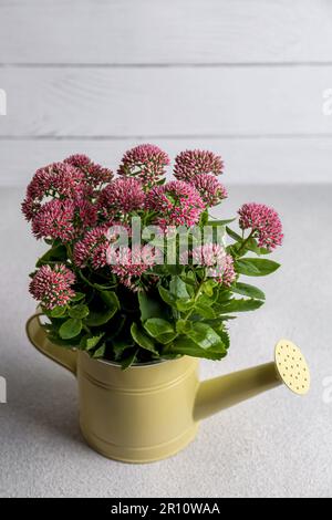 Bel bouquet di fiori rosa in annaffiatura lattina su tavolo bianco Foto Stock
