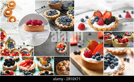 Collage con foto di diverse gustose tartine Foto Stock