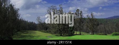 paesaggio montuoso panoramico delle colline di nilgiri e lussureggianti prati verdi e ondulati di 6th km punto di vista vicino alla stazione di ooty hill a tamilnadu, india meridionale Foto Stock