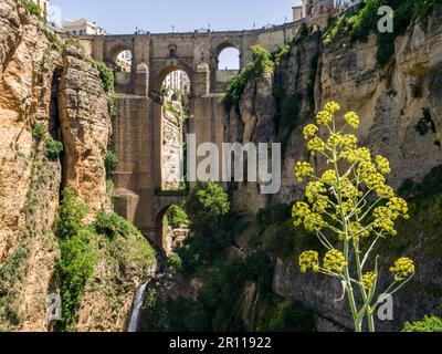 Vista del nuovo ponte a Ronda Foto Stock