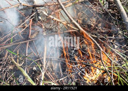 Le fiamme e il fumo. Incandescente, bruciando legna da ardere carbonizzata in un falò, falò. Colorato fiamme e cenere grigia corteccia carbonizzato. Foto Stock