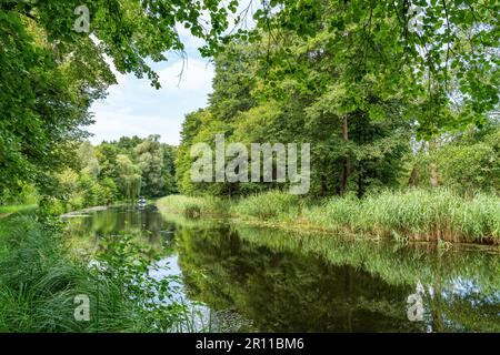 Paesaggio verde al canale Templin, Templin, Uckermark, Brandeburgo, Germania Foto Stock