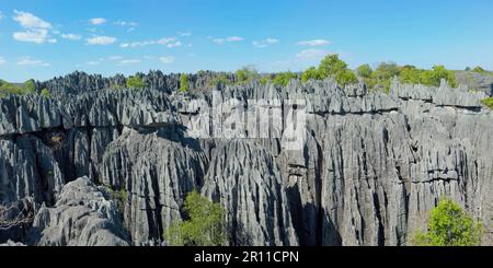 Formazione rocciosa, Parco Nazionale Tsingy de Bemaraha, Patrimonio Mondiale dell'UNESCO, Bekopaka, Provincia di Majunga, Madagascar Foto Stock