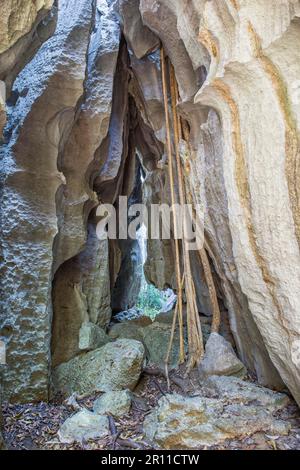 Formazione rocciosa, Parco Nazionale Tsingy de Bemaraha, Patrimonio Mondiale dell'UNESCO, Bekopaka, Provincia di Majunga, Madagascar Foto Stock