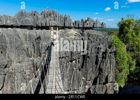 Scalatore che attraversa un ponte sospeso, il Parco Nazionale Tsingy de Bemaraha, sito patrimonio dell'umanità dell'UNESCO, Bekopaka, provincia di Majunga, Madagascar Foto Stock