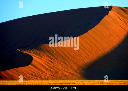 Enormi dune di sabbia nella luce dell'ultima sera, Namib Naukluft National Park, Sossusvlei, Namibia Foto Stock