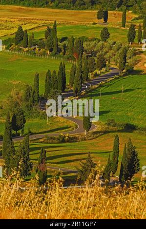 Val d'Orcia, Val d'Orcia, Pienza, strada e cipressi, strada da pienza a montepulciano, paesaggio toscano, patrimonio dell'umanità dell'UNESCO, Siena Foto Stock