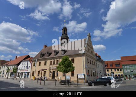 Municipio, Bad Belzig, Brandeburgo, Germania Foto Stock