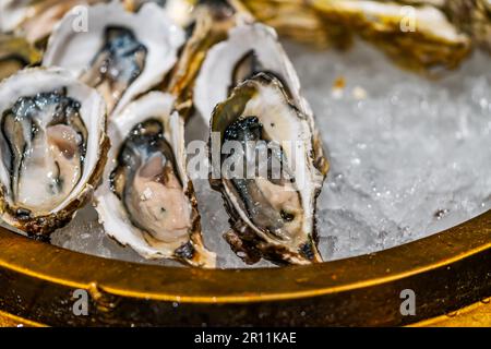 Primo piano di ostriche fresche su ghiaccio, ostriche fresche pronte da mangiare in un ristorante, focus selezionato, spazio vuoto per la copia. Foto Stock