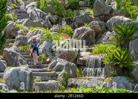 Un giardino terrazzato con grandi rocce, una scalinata in pietra e una cascata presso i Chinese Gardens of Friendship di Sydney, Australia Foto Stock