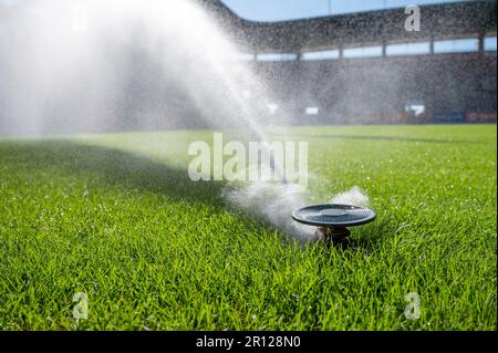 Annaffiatura erba in uno stadio di calcio Foto Stock