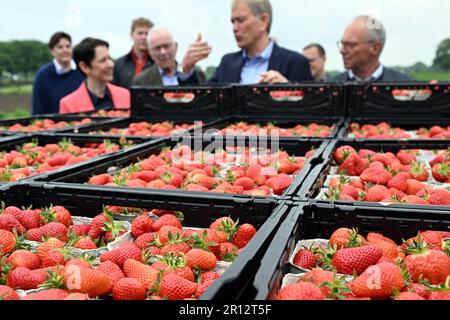 Bottrop, Germania. 11th maggio, 2023. Silke Gorißen (CDU, l), ministro dell'Agricoltura della Renania settentrionale-Vestfalia, e il coltivatore di frutta Eberhard Schmücker si trovano dietro un pallet di fragole. Le prime fragole sono mature. I primi frutti sono in vendita da diverse settimane. Queste fragole provengono da coltivazioni protette in tunnel di foil o serre. Credit: Federico Gambarini/dpa/Alamy Live News Foto Stock