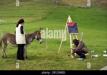 Brasov County, Romania, circa 1999. Giovane pittore che lavora su una tela in aria pura, con la sua amica in piedi accanto a un asino della fattoria. Foto Stock