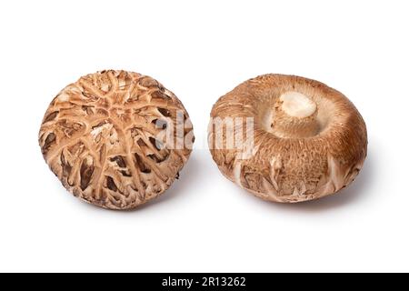 Coppia di funghi shiitake freschi interi primo piano isolato su sfondo bianco Foto Stock