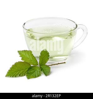Bicchiere con tè in foglie di mora e una foglia verde di mora fresca in primo piano isolato su sfondo bianco Foto Stock