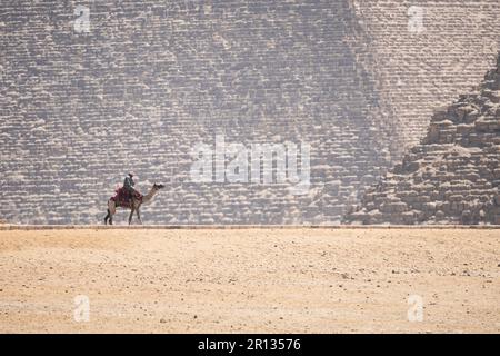 Un cammello con beduini cammina lungo le dune di sabbia vicino alle grandi piramidi di Giza su uno sfondo blu cielo. Cairo, Egitto. Foto Stock