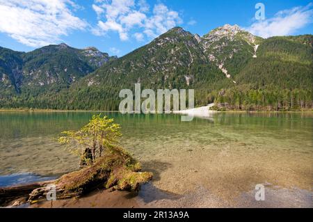 Lago di Dobbiaco, Val di Pusteria, Trentino-Alto Adige, Italia Foto Stock