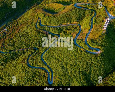 An aerial shot of a winding road surrounded by a lush green forest. Signagi, Georgia. Foto Stock