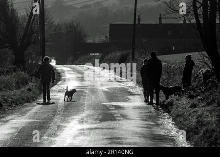 Dogwalkers in silhouette su una corsia di campagna vicino Belper nel Derbyshire, Inghilterra (bianco e nero) Foto Stock