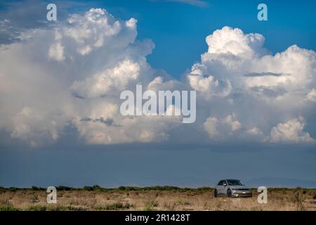 Silver Hyundai auto elettrica vale a dire Ioniq 5 parco nel deserto Foto Stock