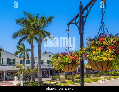 Fiori su West Venice Avenue nel centro di Venice Florida USA Foto Stock