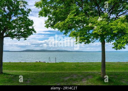 Spiaggia libera sul lago Balaton con alberi e natura in Balatonlelle Ungheria . Foto Stock