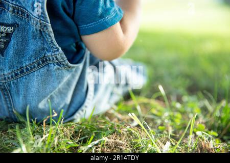 il bambino gioca in erba in una calda giornata estiva con il ritorno alla macchina fotografica Foto Stock