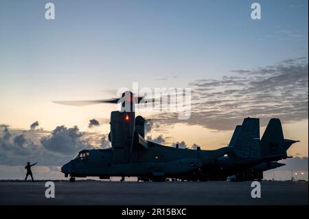 STATI UNITI Marines assegnato a Marine Medium Tiltrotor Squadron 364 (VMM-364), preparare un Osprey MV-22B per il decollo a Camp Lemonnier, Gibuti, 29 aprile 2023. VMM-364 fornisce un supporto critico a più operazioni all'interno della Joint Task Force combinata - Horn of Arica e AFRICOM. (STATI UNITI Air Force foto di staff Sgt. Aaron Irvin) Foto Stock