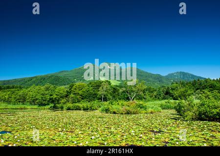 Imori stagno e Mt. Myoko Foto Stock