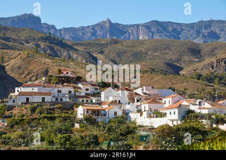 Villaggio, Fataga, Barranco de Fataga, palme, gola, Massiccio Centrale, Costa meridionale, Gran Canaria, Isole Canarie, Spagna Foto Stock