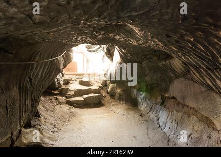 Albero di utero Funatsu Foto Stock