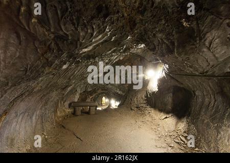 Albero di utero Funatsu Foto Stock