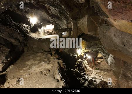 Albero di utero Funatsu Foto Stock